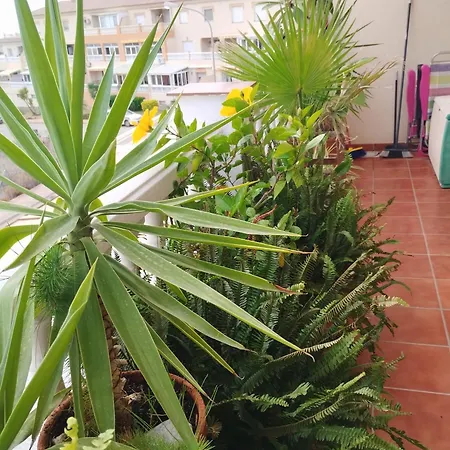 Casa Carino Torrox